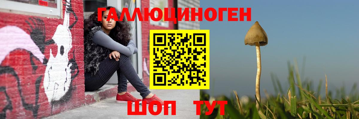 Псилоцибиновые грибы мицелий Губкин